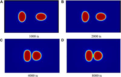Interface Properties in Binary Fluid Using Lattice Boltzmann Method
